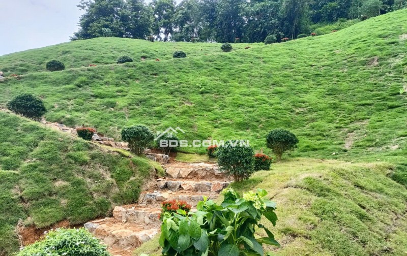3343m2, full thổ cư, cách đường liên kết vùng chỉ 200m tại Đông Bắc, Kim Bôi