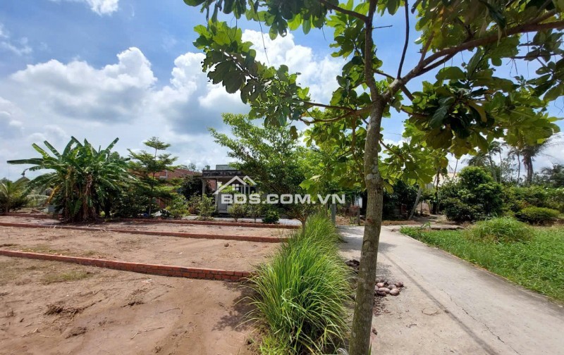 BÁN LÔ ĐẤT THỔ CƯ VỊ TRÍ ĐẸP TẠI ẤP 6 XÃ TÂN TRẠCH, CẦN ĐƯỚC, LONG AN. LH:0903187068.