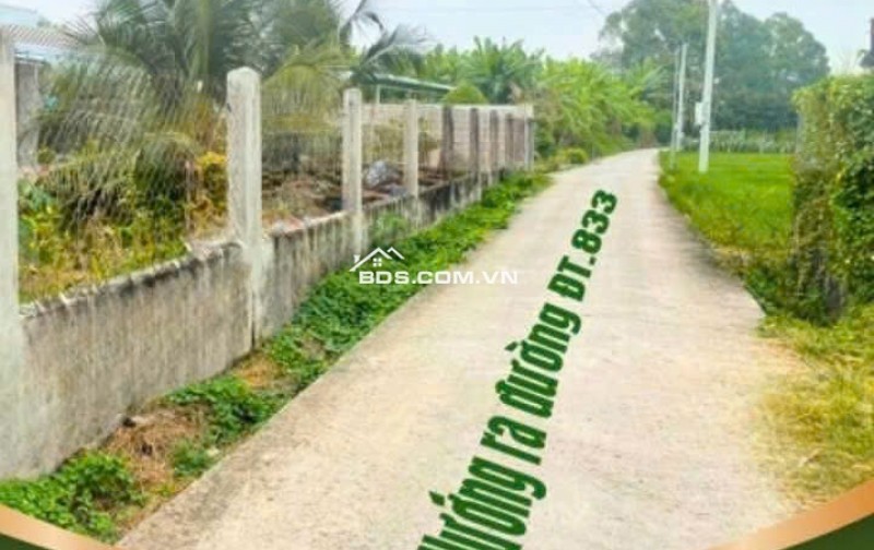 Chính chủ bán đất thổ cư gần ngã tư trung tâm Lạc Tấn, TL833 ,Tân Trụ ,giá 550 triệu.