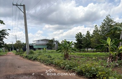 đất héc 1,8 hec bán 190tr .1000m2 gần khu ccoongf nghiệp