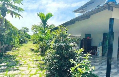 BÁN NHÀ CẤP 4 VƯỜN CÂY ĂN TRÁI 2500M2 SHR THỔ CƯ, NGAY KCN AN LINH GIÁ 650TR
