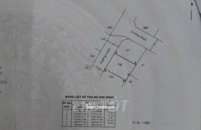 Bán 132m2 đất thổ cư khu biệt thự Xuân Thới Sơn ,Hóc Môn