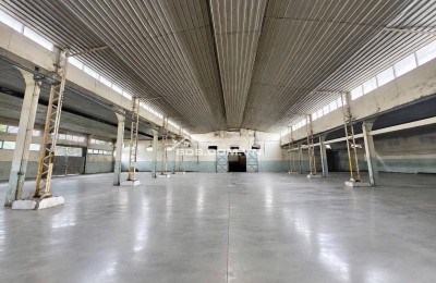 Cho thuê kho xưởng 1800m2 Trần Văn Dư, Tân Bình, TPHCM