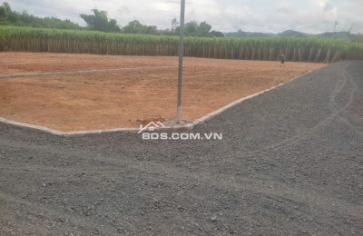 Bán đất Bình Sậy, X.Thạch Sơn, H.Thạch Thành, Thanh Hóa. 280m2 ~ 285 triệu.