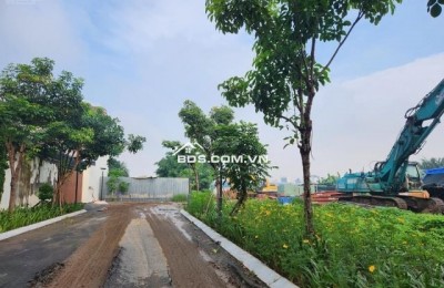 Cho thuê lô đất siêu đẹp Nguyễn Văn Hưởng, Thảo Điền.