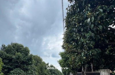 TÔI CHÍNH CHỦ CẦN TIỀN BÁN ĐẤT FULL THỔ CƯ PHÁT LÝ SẠCH GIÁ 775 TRIỆU CÓ THƯƠNG LƯỢNG