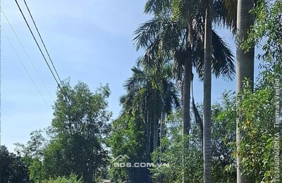 Bán đất đường 623 xã Phước Hiệp Huyện Củ Chi giá 170 tỷ
