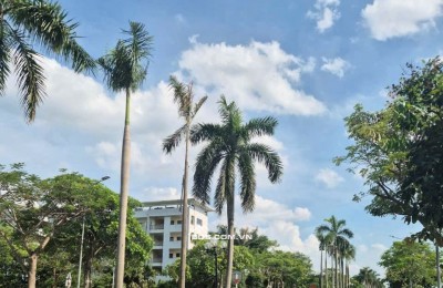 Cần tiền mua nhà Hà Nội bán gấp lol đất Viglcaera tbd 28 gần quy hoạch cảng cạn