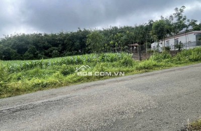 Em cần bán lô đất thổ cư mặt tiền nhựa . Diện tích 10.42 thổ cư 200m